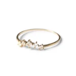 Jamie Set Natural Diamond Ring - 图片 4
