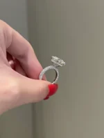 6 Carat Brilliant Round Moissanite Engagement Ring - 图片 6