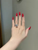 6 Carat Brilliant Round Moissanite Engagement Ring - 图片 2