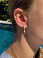 Large Natural Diamond Horn Earrings - 图片 7